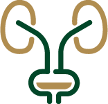 Urologist